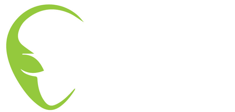Alien E-bike Rentals